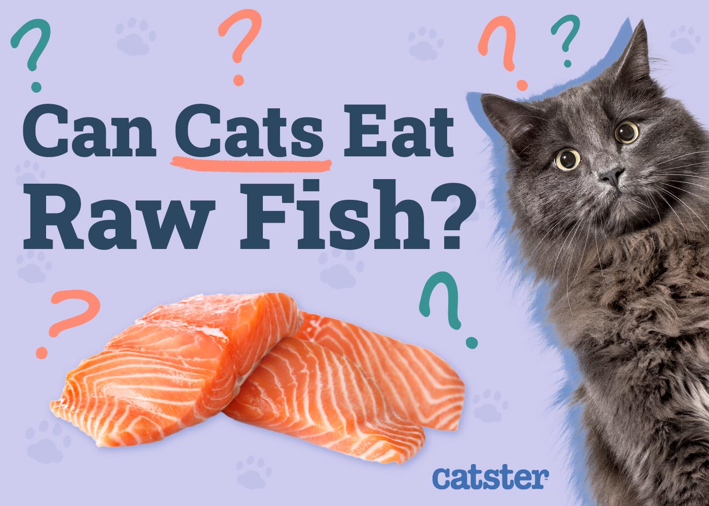 Can Cats Eat Raw Fish? Vet Approved Nutritional Facts & FAQ