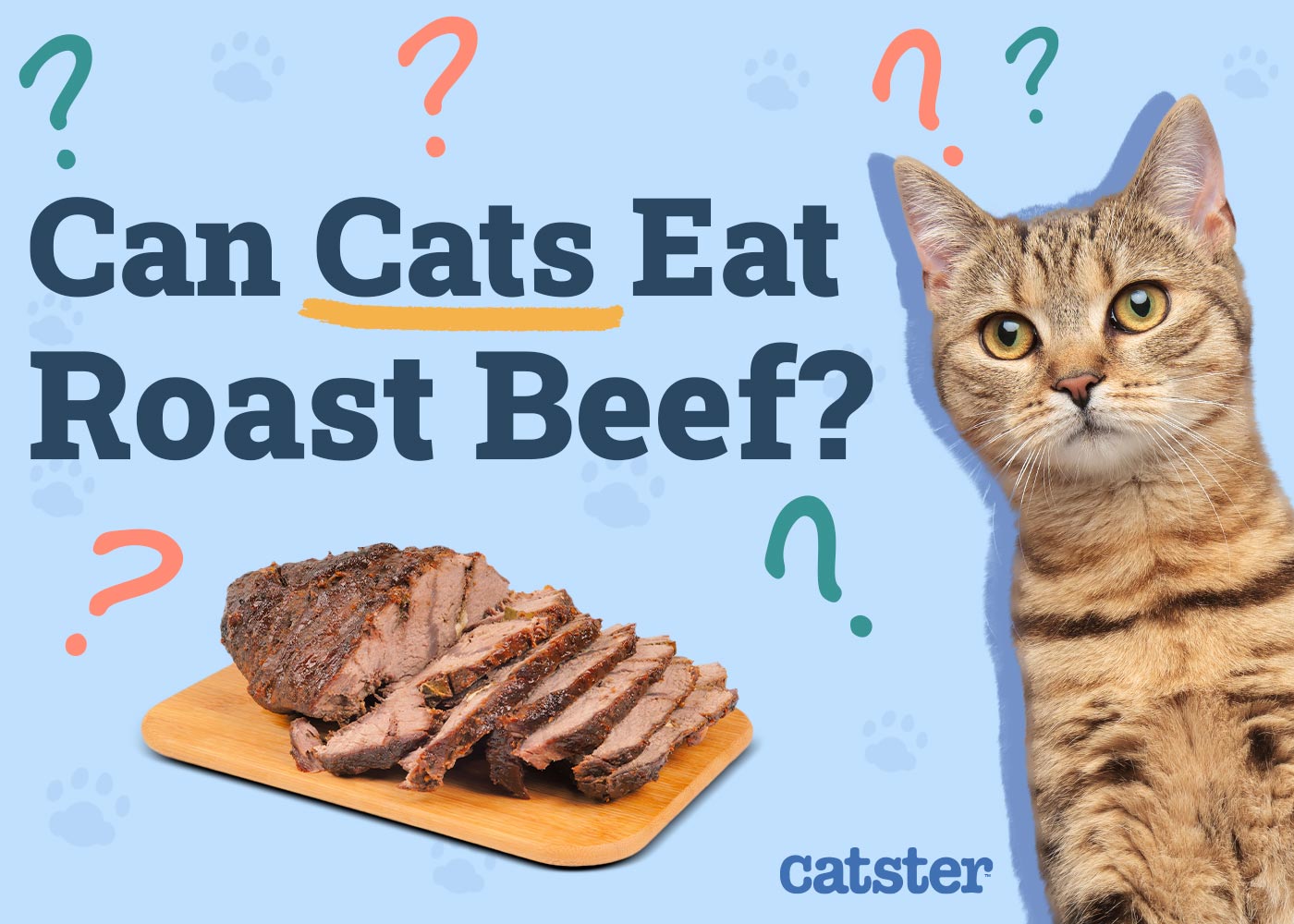 Can Cats Eat Roast Beef? Vet Reviewed Benefits & Concerns