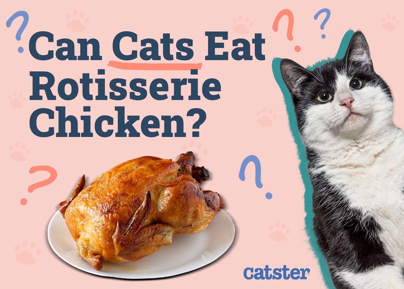 Can Cats Eat Rotisserie Chicken? Vet-Approved Risks & FAQ