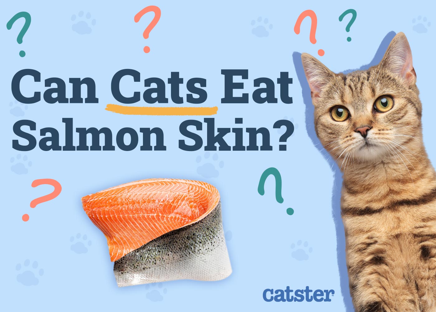 Can Cats Eat Salmon Skin? Vet Reviewed Facts & Health Guidelines