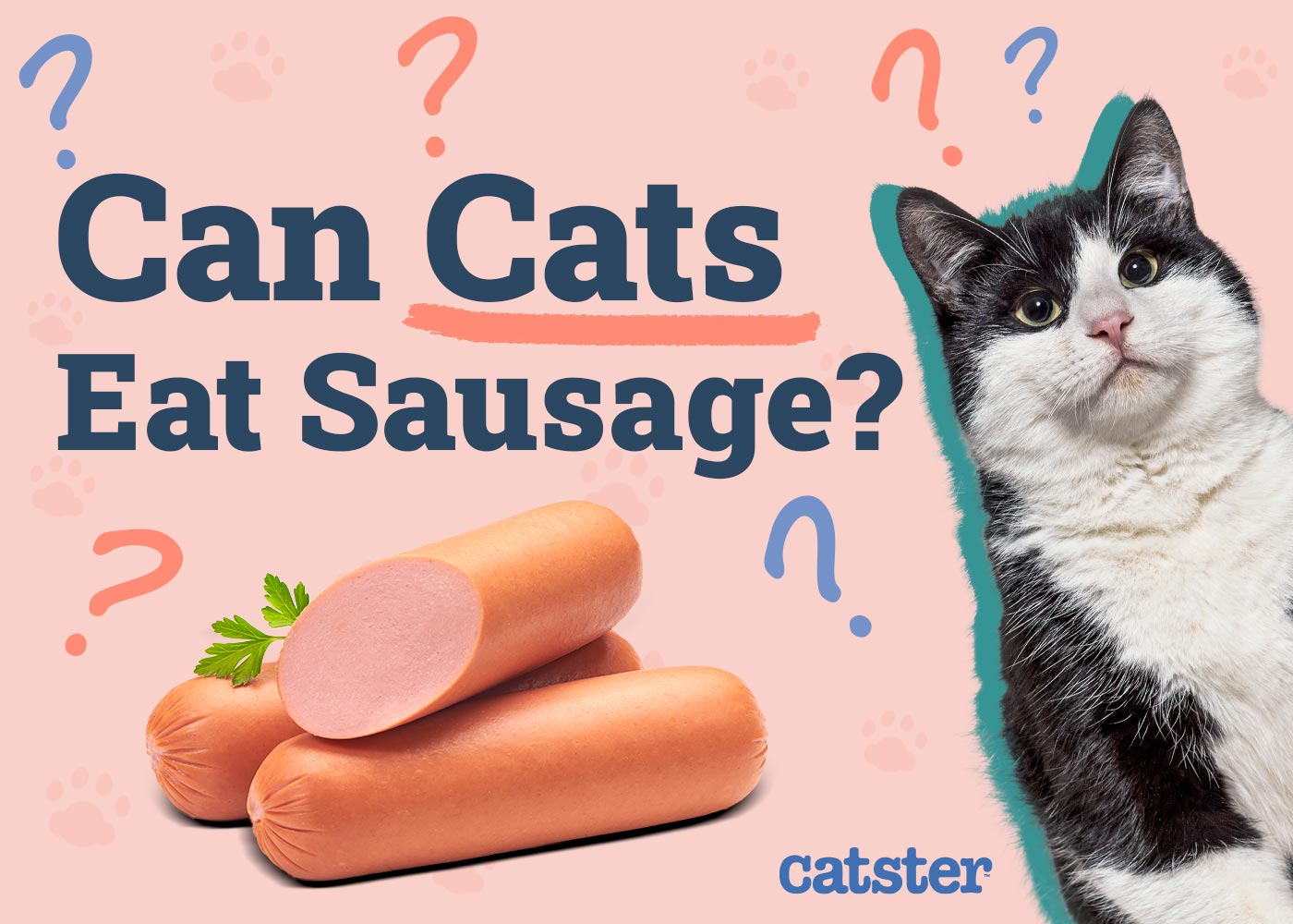 Can Cats Eat Sausage? Vet-Reviewed Nutritional Facts & FAQ