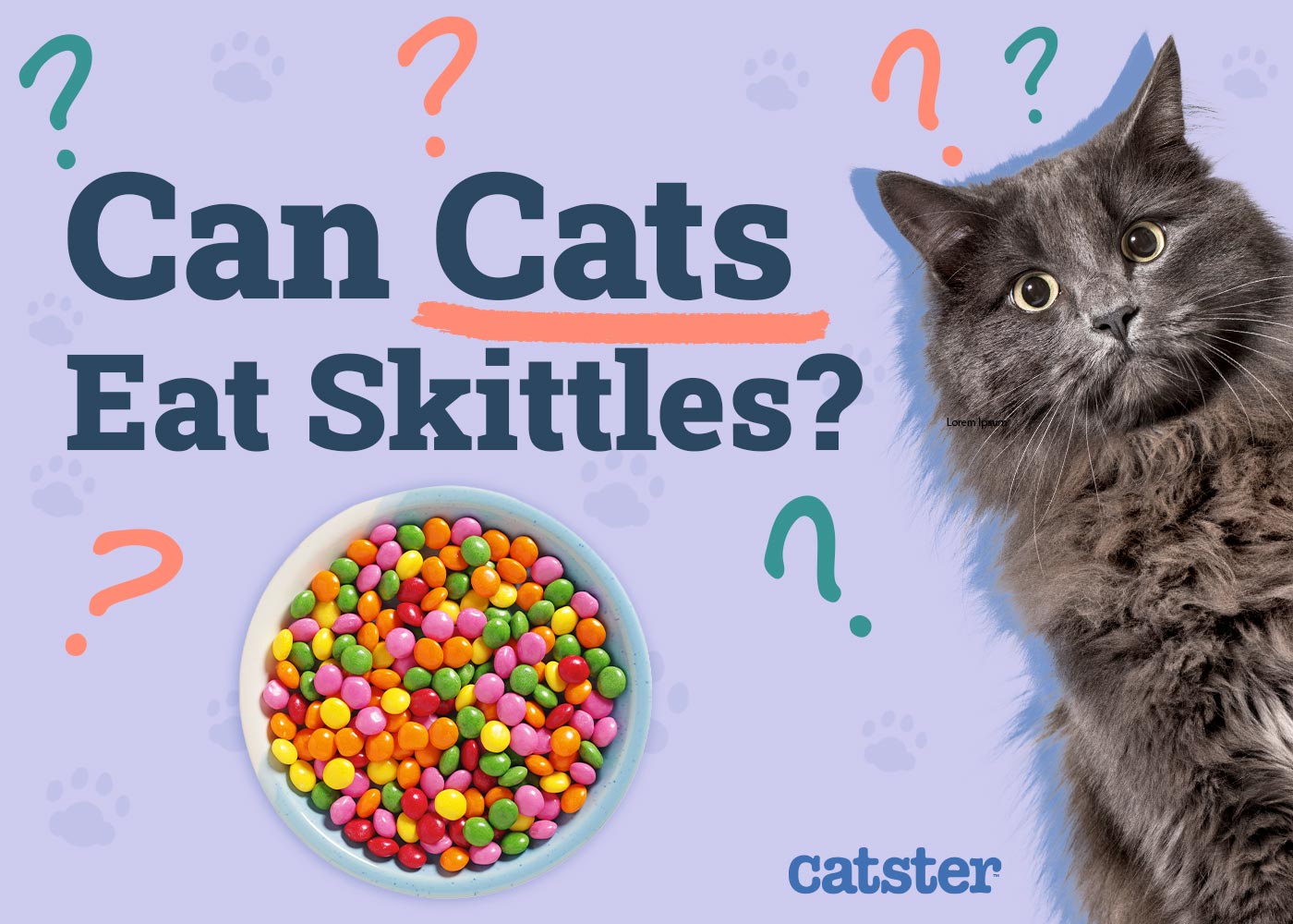 Can Cats Eat Skittles? Vet-Verified Nutritional Facts & Risks