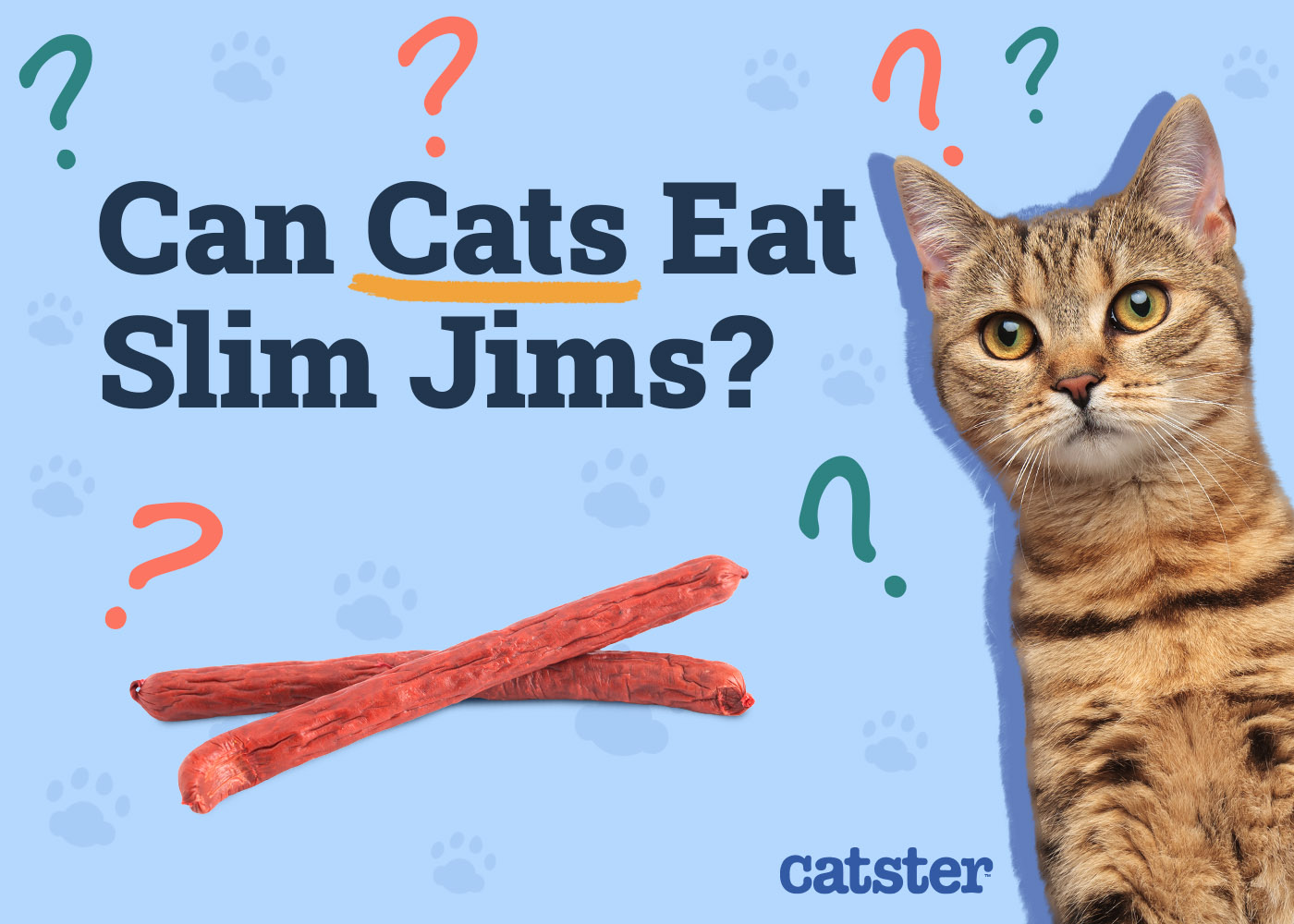 Can Cats Eat Slim Jims? Vet-Approved Nutritional Science & Alternatives