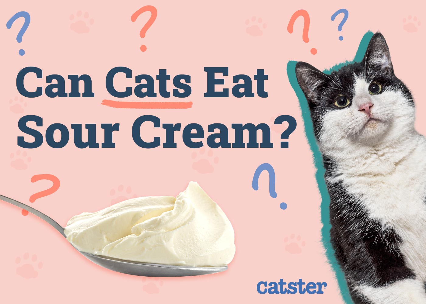 Can Cats Eat Sour Cream? Vet-Approved Nutritional Facts & Safety Tips