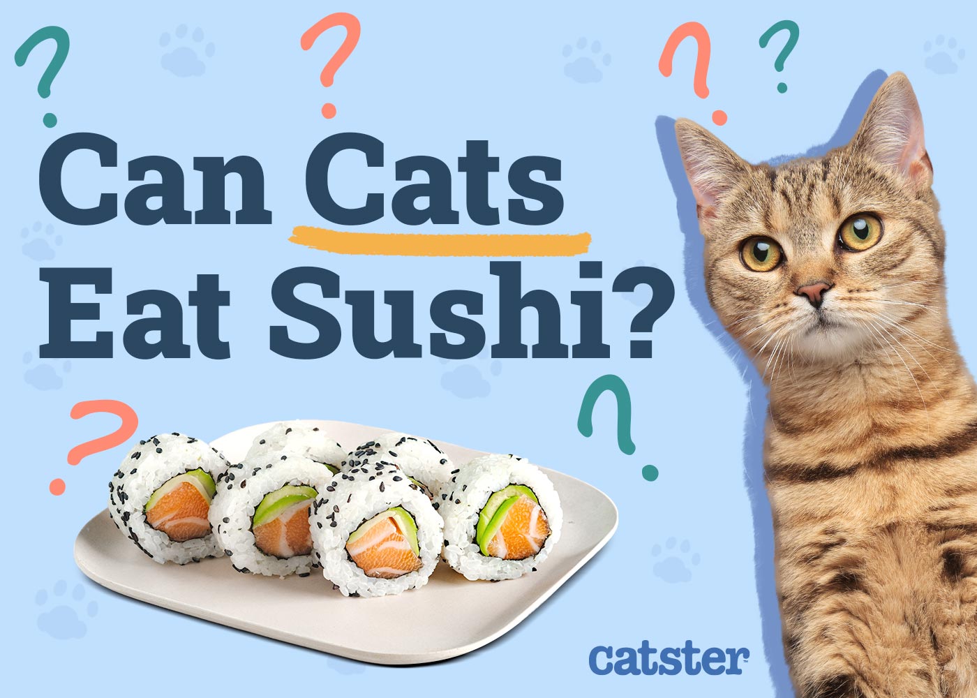 Can Cats Eat Sushi? Vet-Reviewed Nutrition Facts & Safety Guide