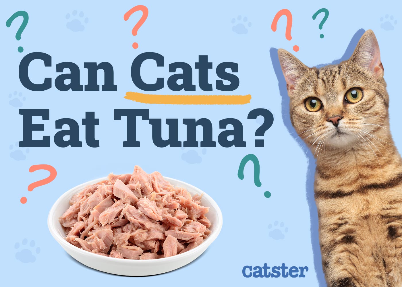 Can Cats Eat Tuna? Vet-Reviewed Nutrition Facts & FAQ