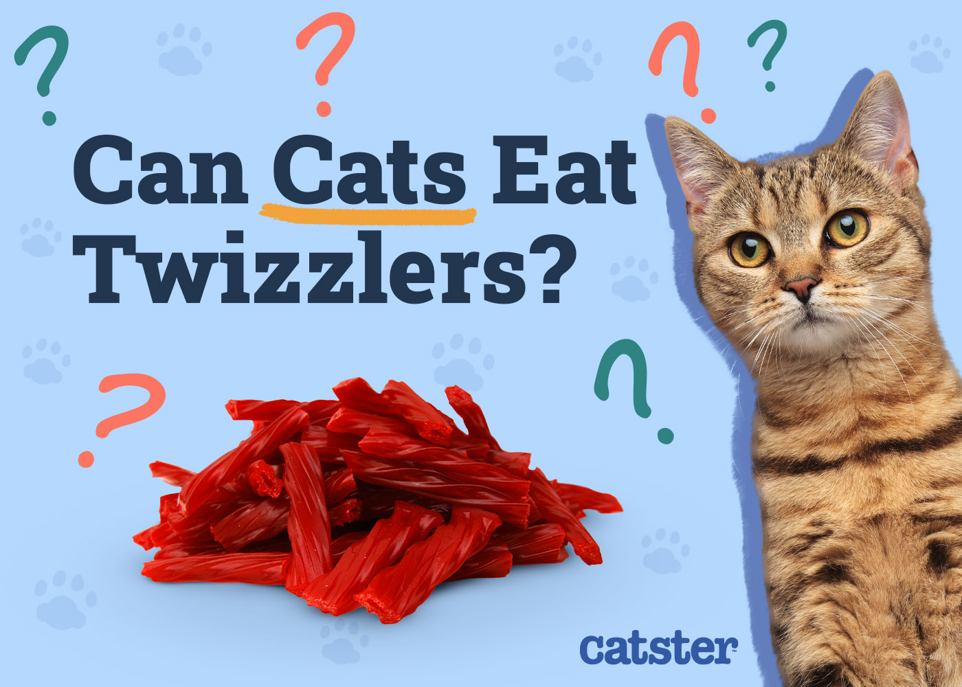 Can Cats Eat Twizzlers? Health Risks & Precautions