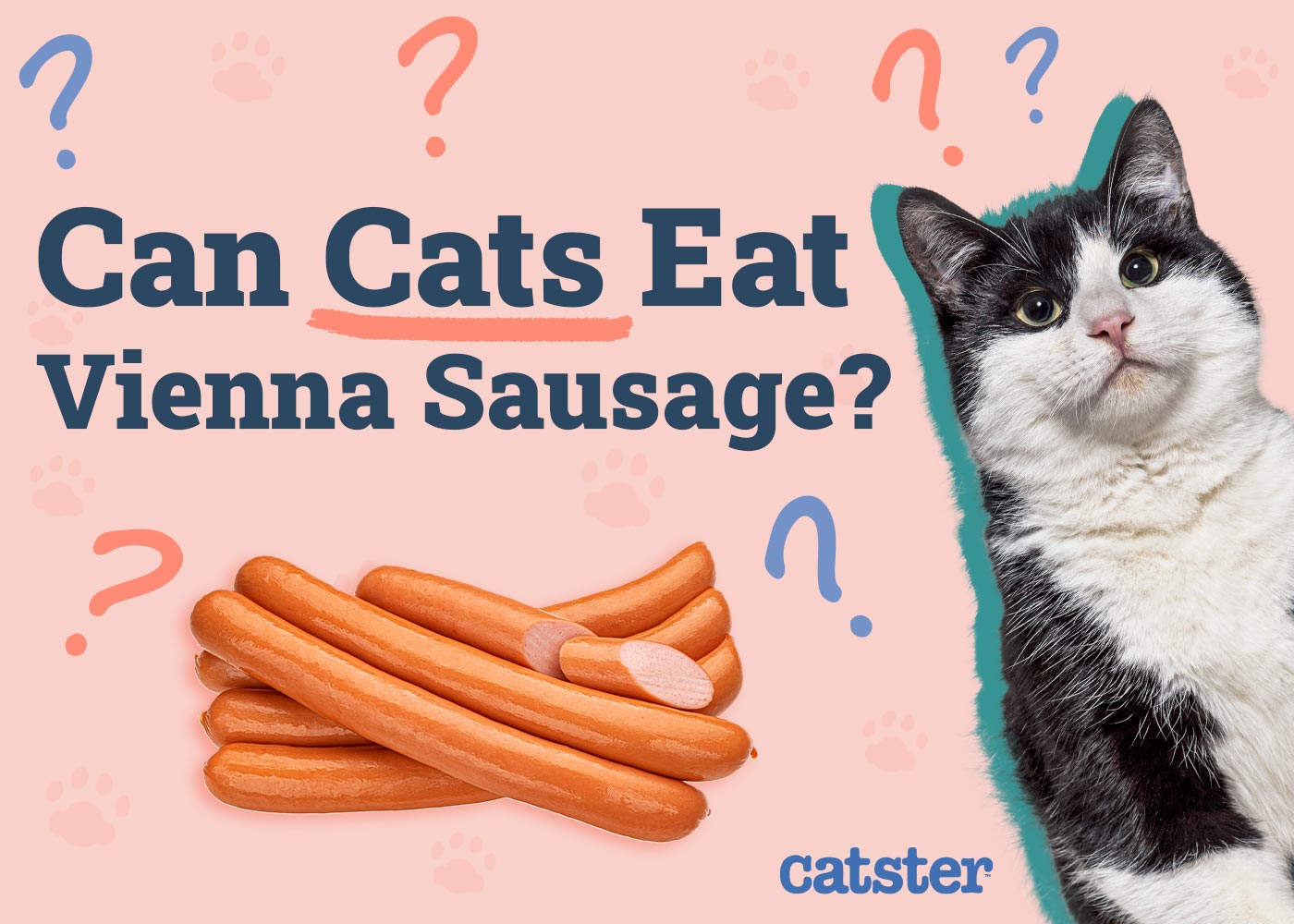 Can Cats Eat Vienna Sausages? Vet-Reviewed Facts & Safety Guide