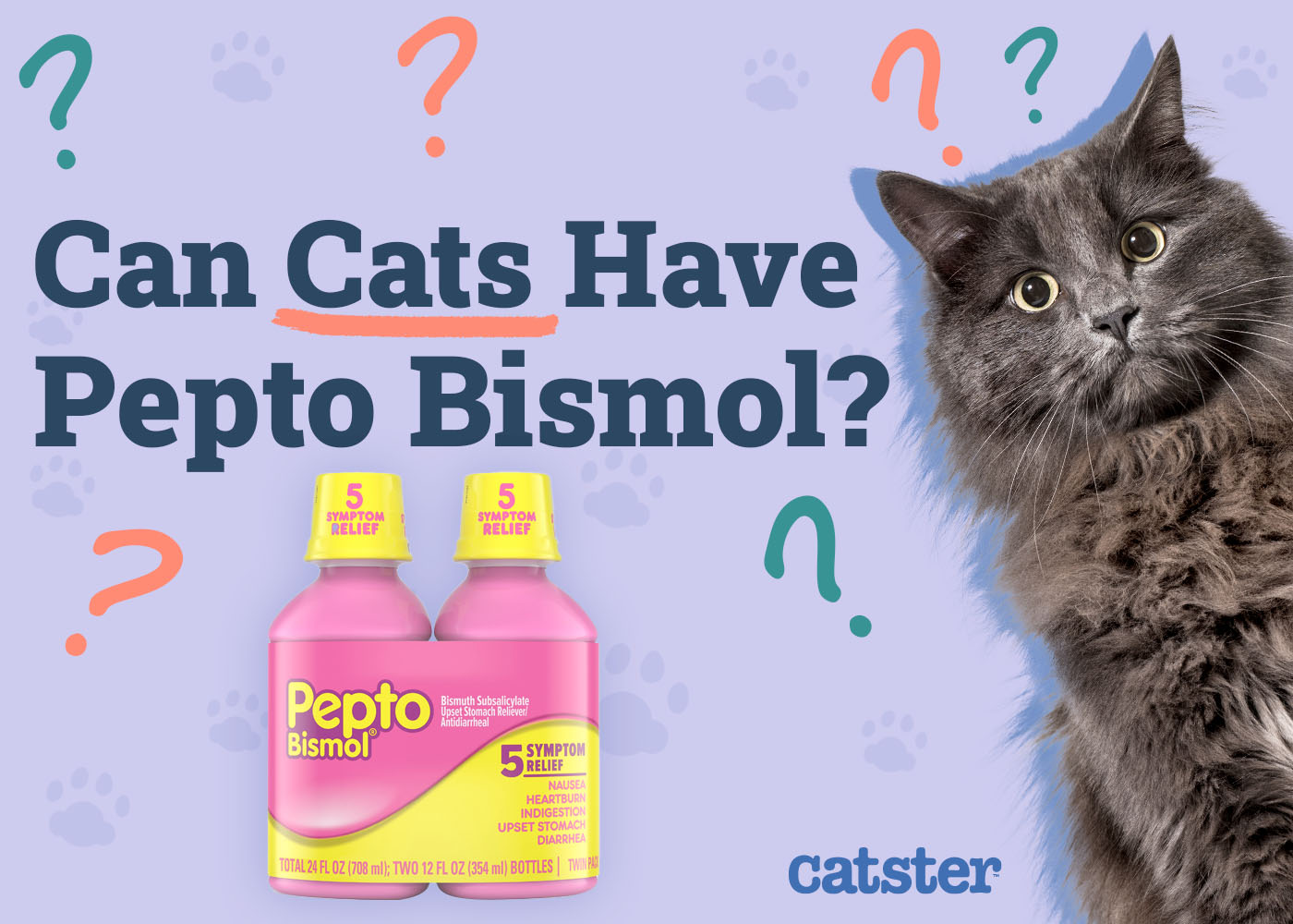 Can Cats Have Pepto Bismol? Vet-Approved Safety Tips & FAQ Explained
