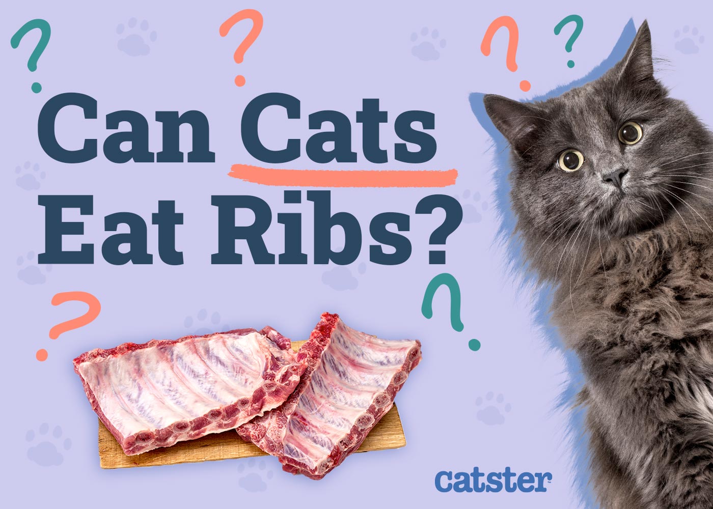 Can Cats Eat Ribs? Vet-Approved Facts & Health Guidelines