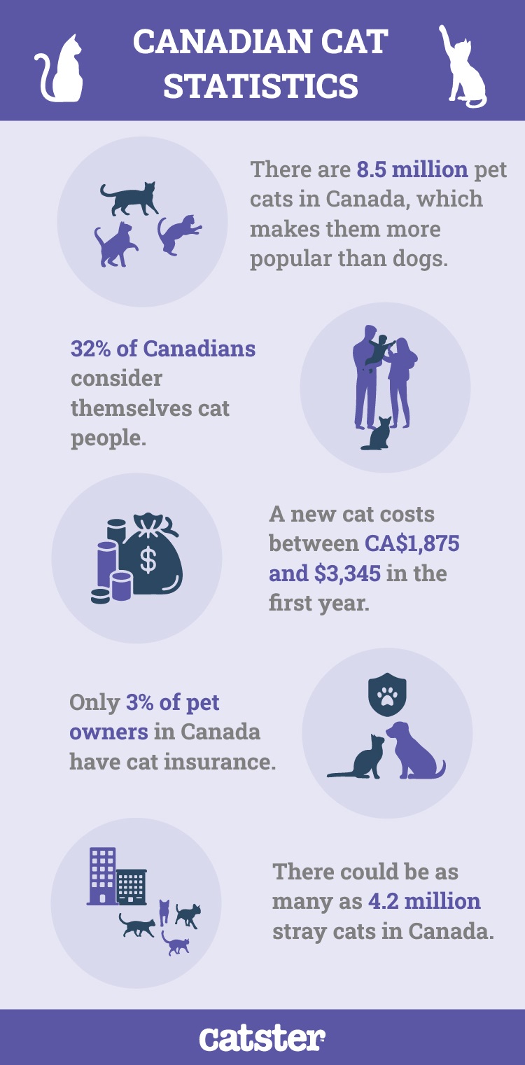 Catster_Canadian-Cat-Statistics