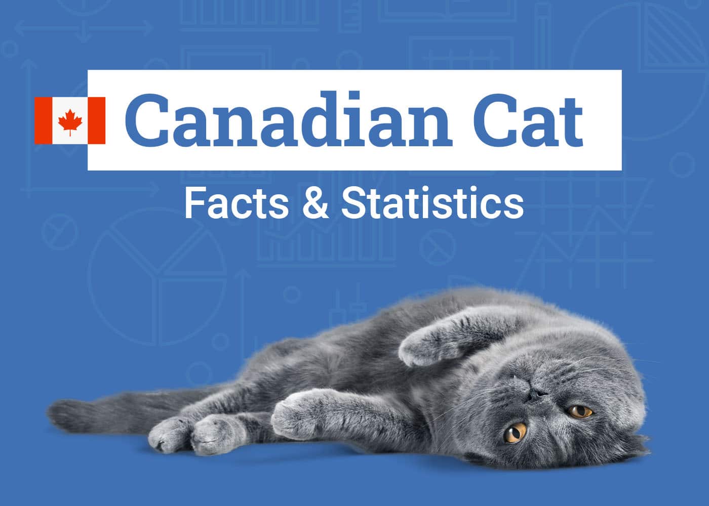 17 Canada Cat Statistics & Facts All Cat Lovers Should Know (2026 Update)