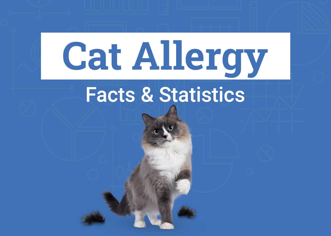 How Many People Are Allergic to Cats? 13 Interesting Statistics