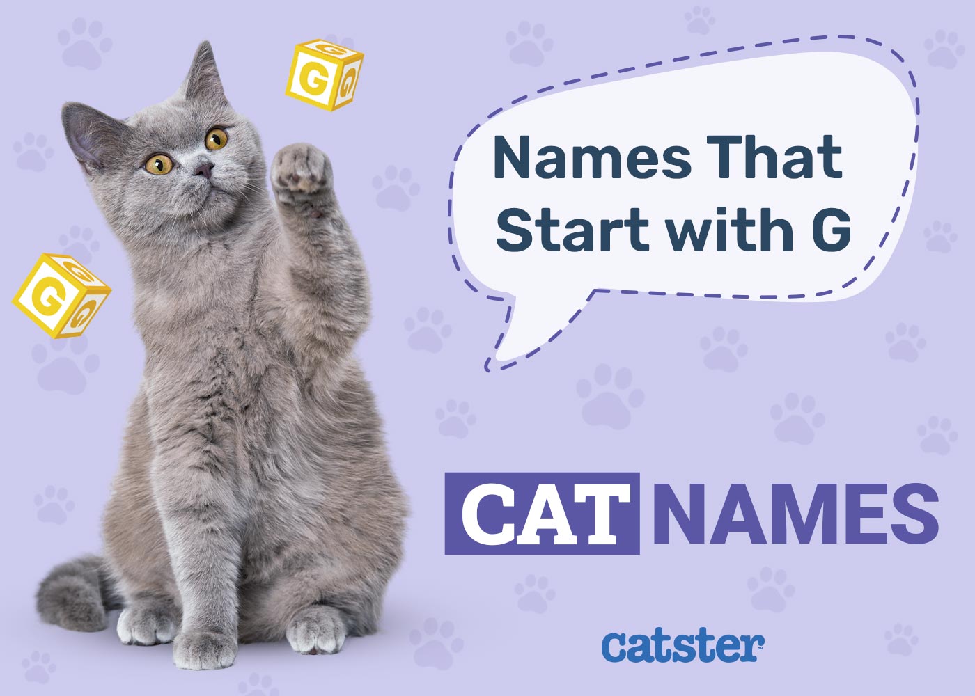 300+ Cat Names That Start With G: Greatest Picks for Males & Females