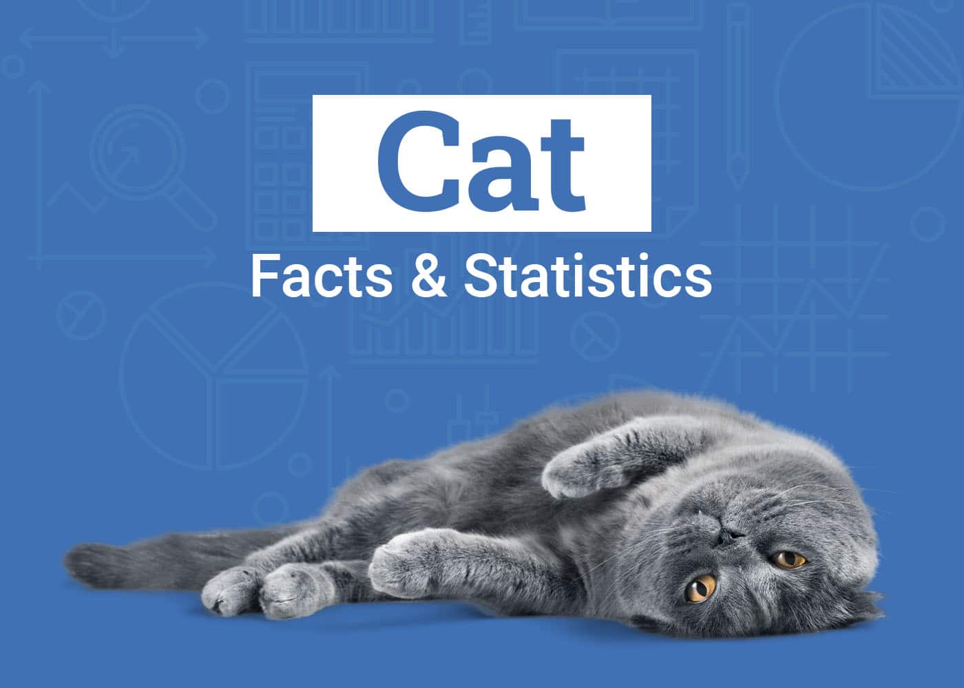 15 Cat Statistics & Facts All Cat Lovers Should Know (Vet-Verified 2026 Update)