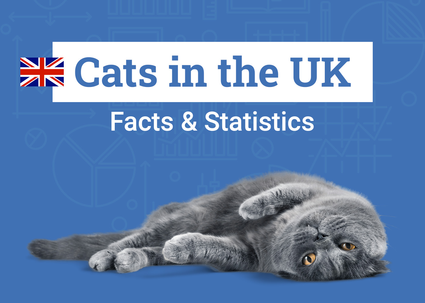 17 UK Cat Statistics & Facts All Cat Lovers Should Know (2026 Update)