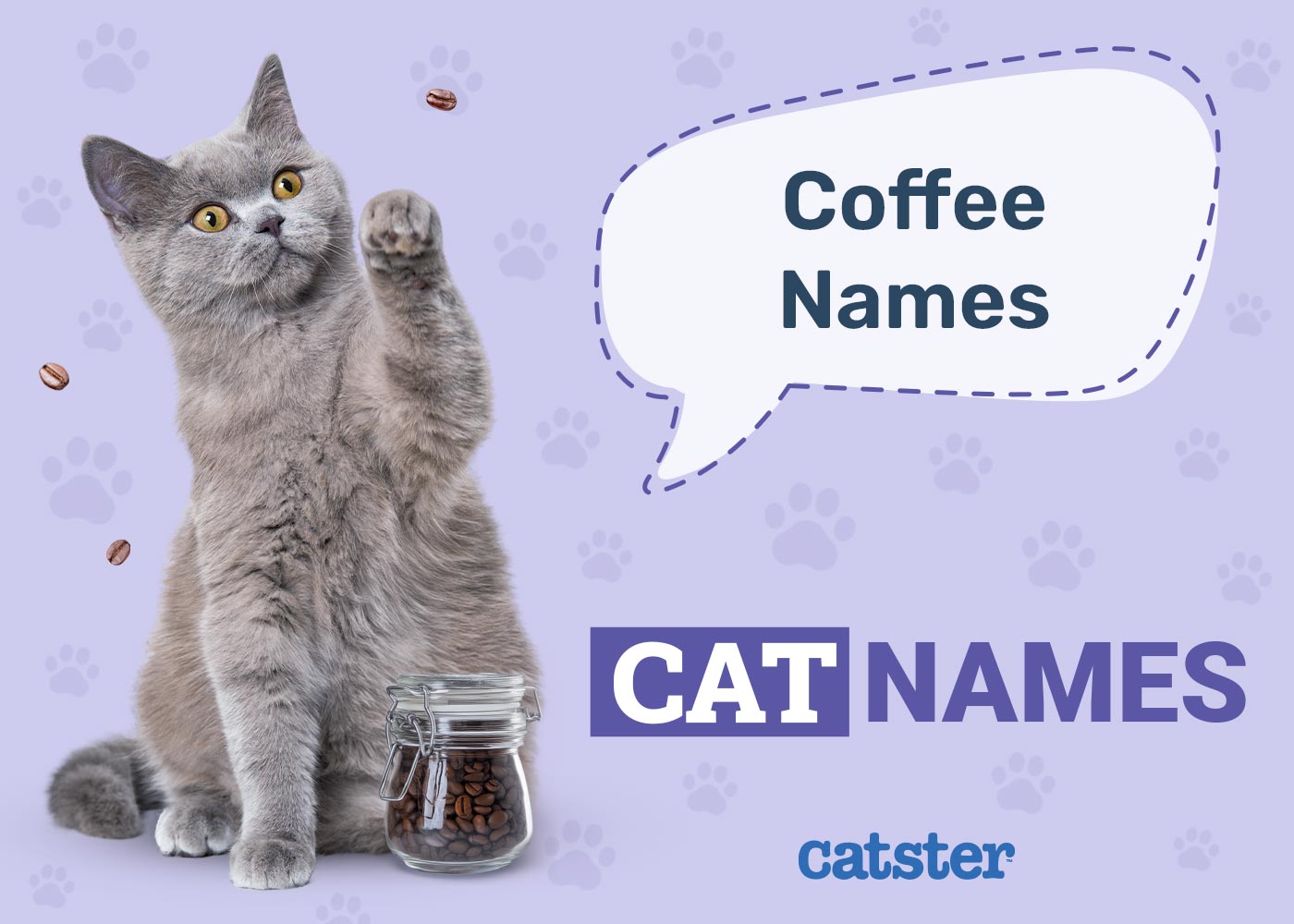 125+ Coffee Names for Cats: Great Ideas for Your Perky Cat