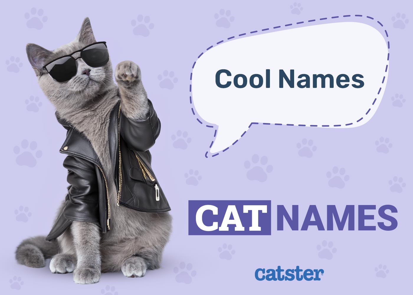 100+ Cool Cat Names: Ideas for Carefree & Easy Going Cats
