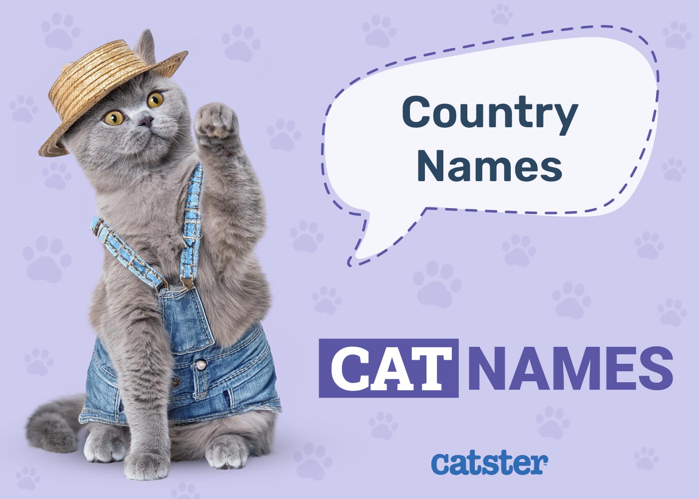 160+ Country Cat Names: Great Ideas for Your Western Cat