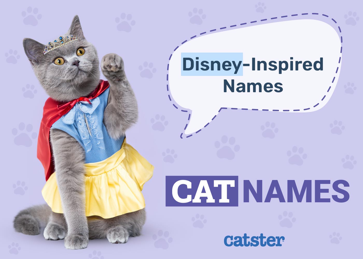 170+ Disney-Inspired Cat Names: Ideas for Your Animated & Magical Cat