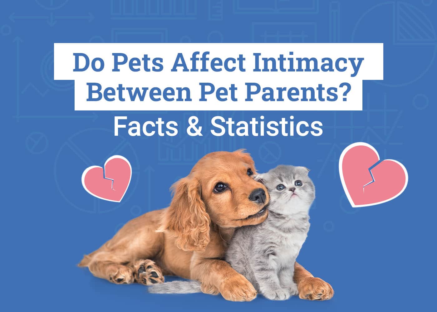 Do Pets Affect Intimacy Between Pet Parents? 2026 Survey Results