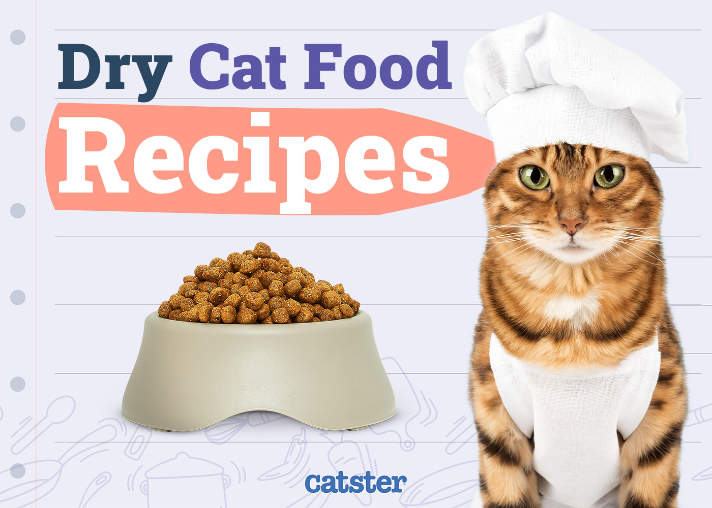 5 Homemade Dry Cat Food Recipes