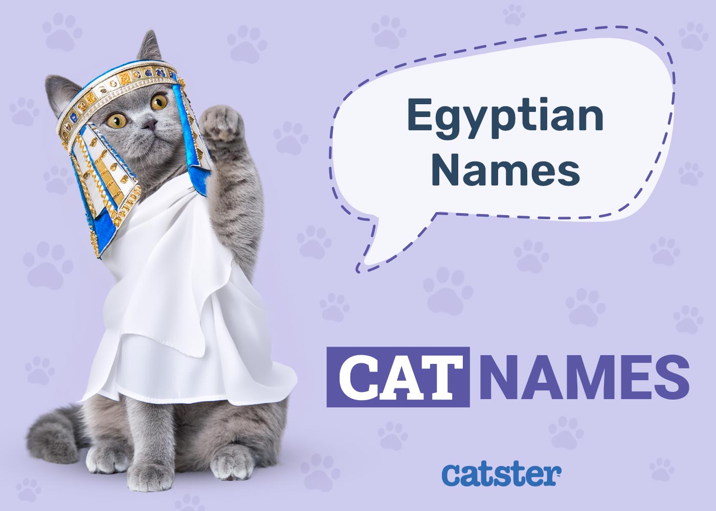 100+ Egyptian Cat Names: Ideas for Enlightened & Divine Cats