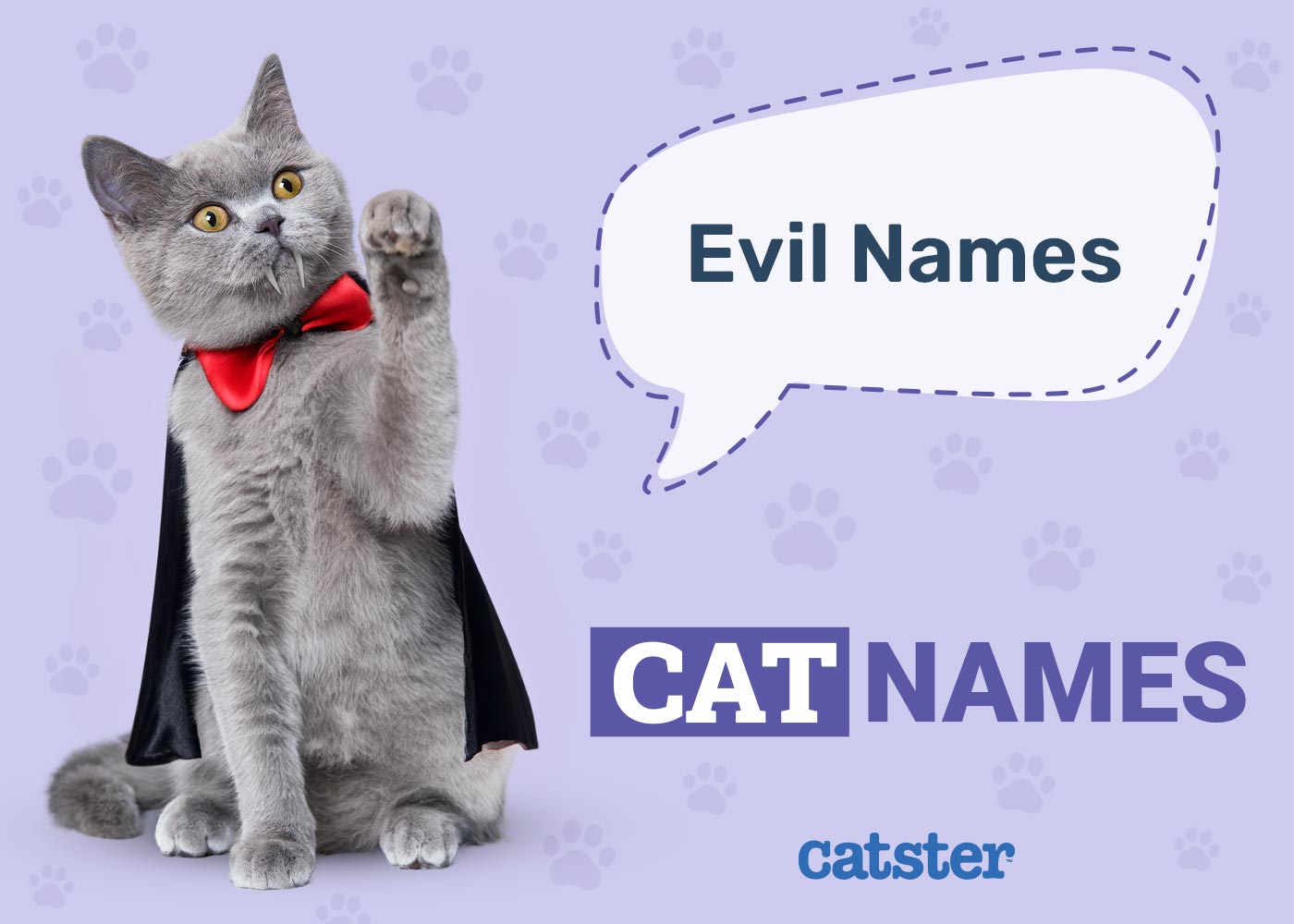 150+ Evil Cat Names: Great Ideas for Your Dastardly Cat
