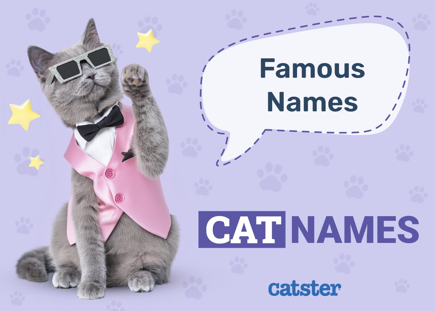 100+ Famous Cat Names: Great Ideas for Your Cool Cat