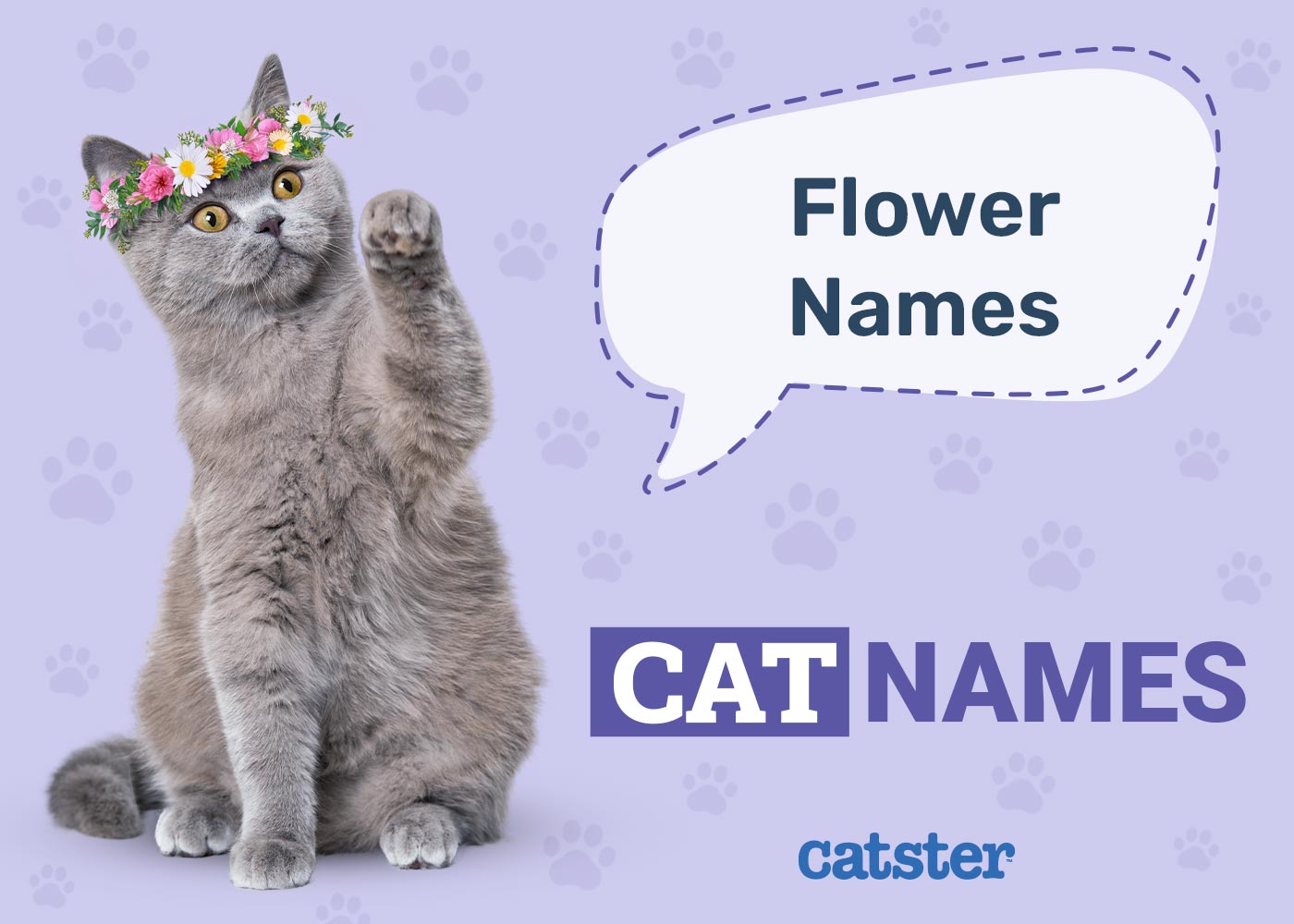 150+ Flower Names for Cats: Inspiring Floral Ideas