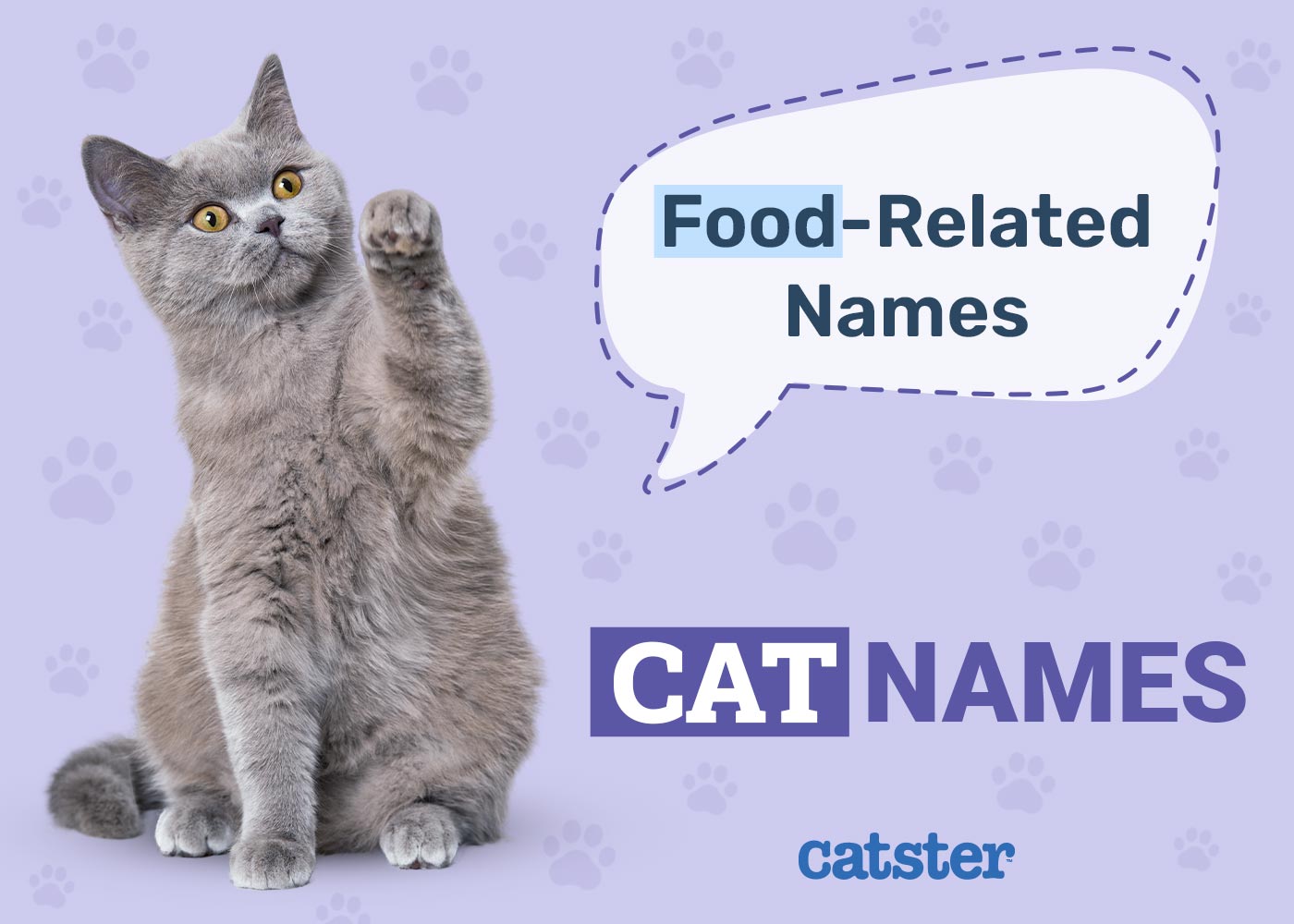 200+ Food Related Cat Names: Ideas for Sweet & Adorable Cats