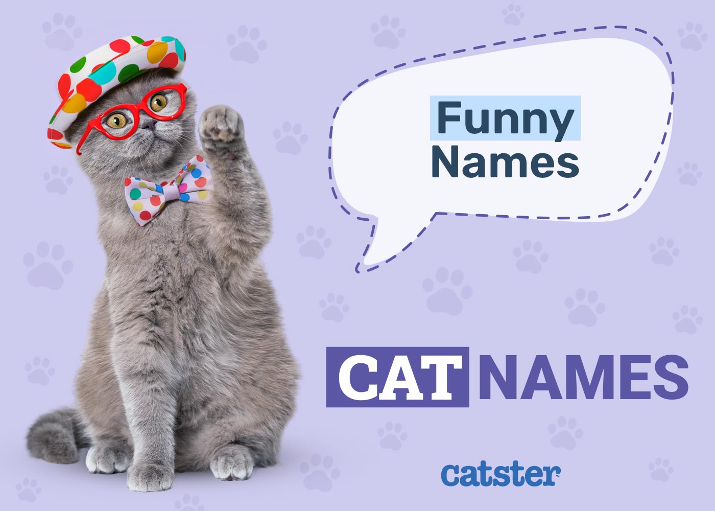 100+ Funny Cat Names: Ideas for Comical Kitties