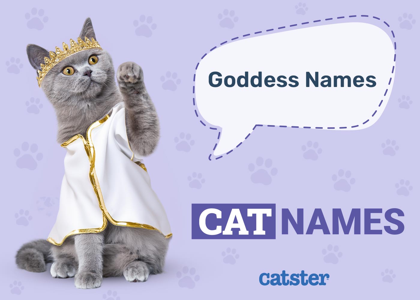 150 Goddess Cat Names: Ideas for Your Divine Friend
