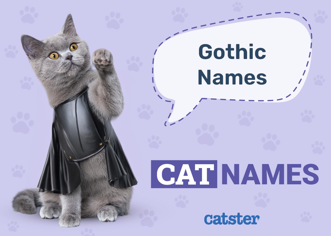 300+ Gothic Cat Names: Great Ideas for Your Hardcore Cat