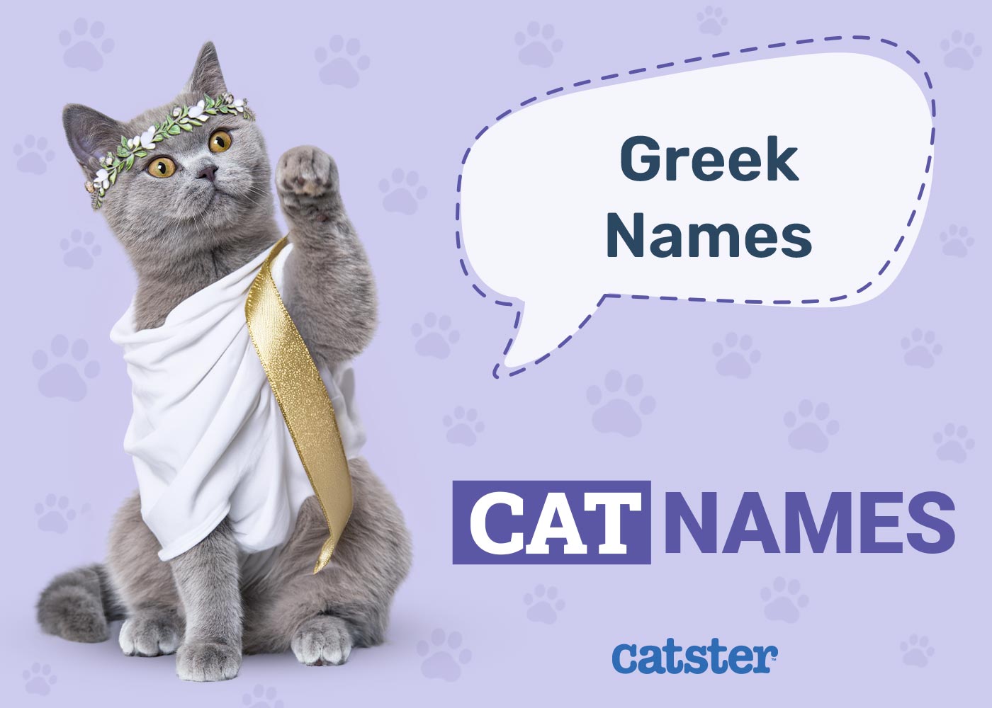 100+ Greek Cat Names: Ideas for Strong & Legendary Cats