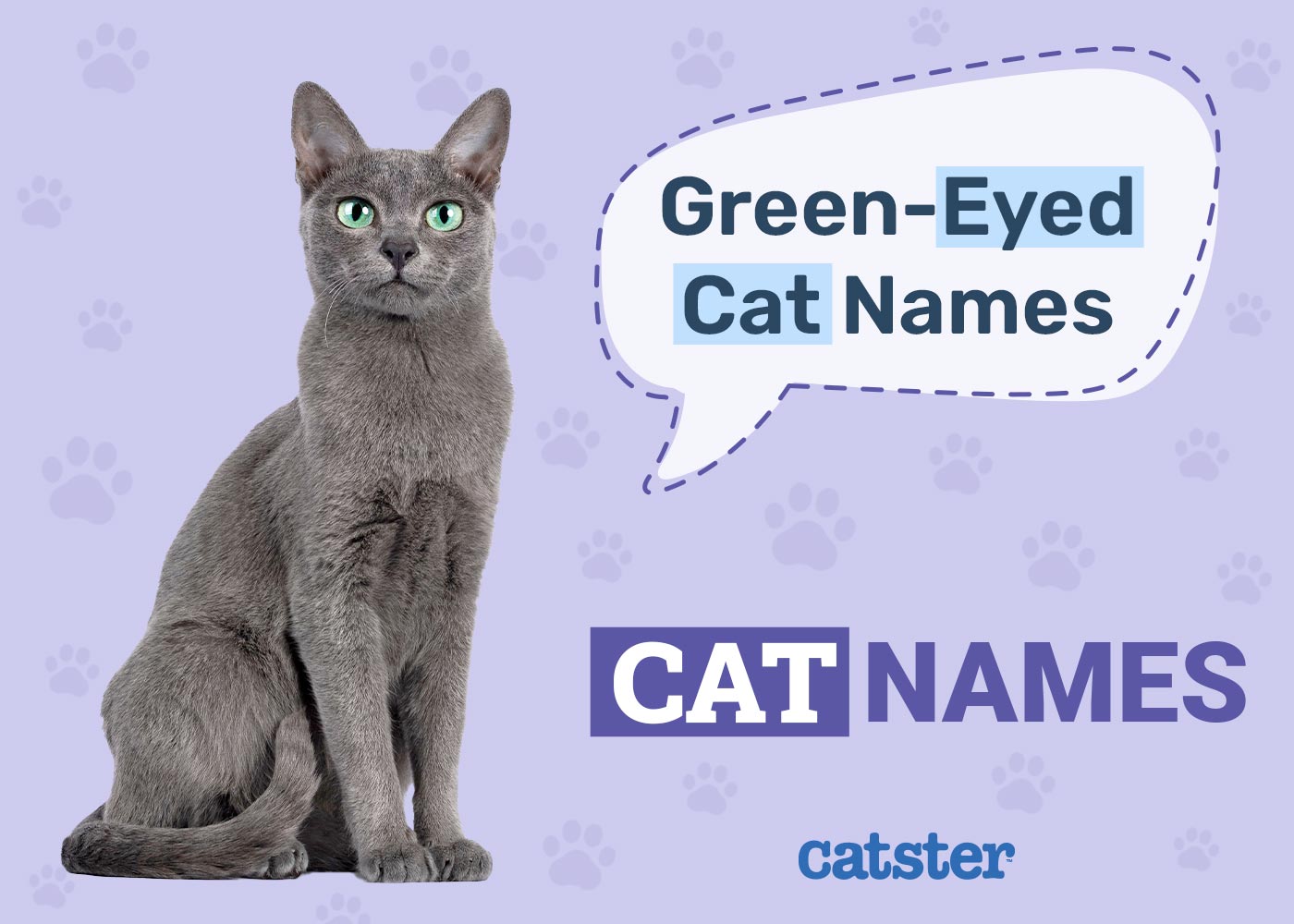 120+ Green-Eyed Cat Names: Great Ideas for Your Beautiful Cat