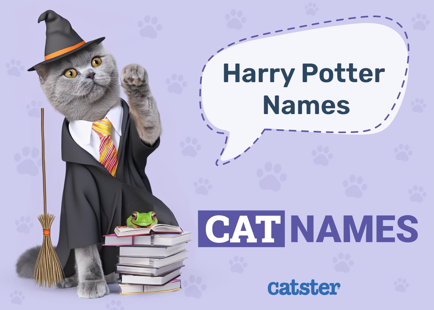 150+ Harry Potter Inspired Cat Names: Ideas for Magical & Intriguing Cats