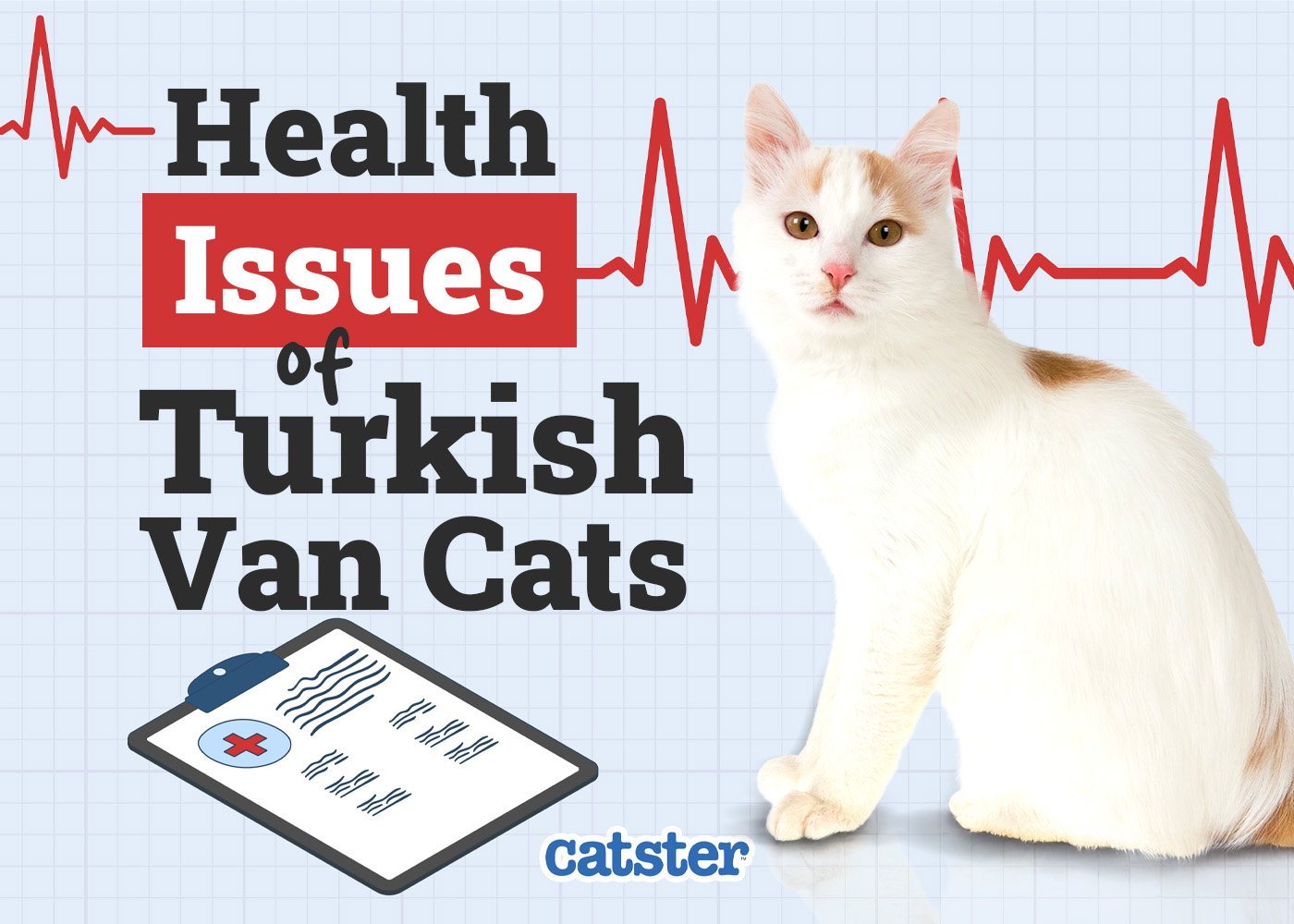 Turkish Van Cat Health Problems: 8 Vet-Reviewed Issues