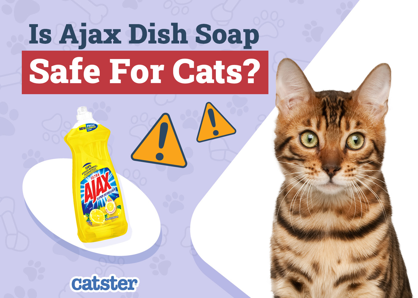 Is Ajax Dish Soap Safe for Cats? Recommendations & Alternatives
