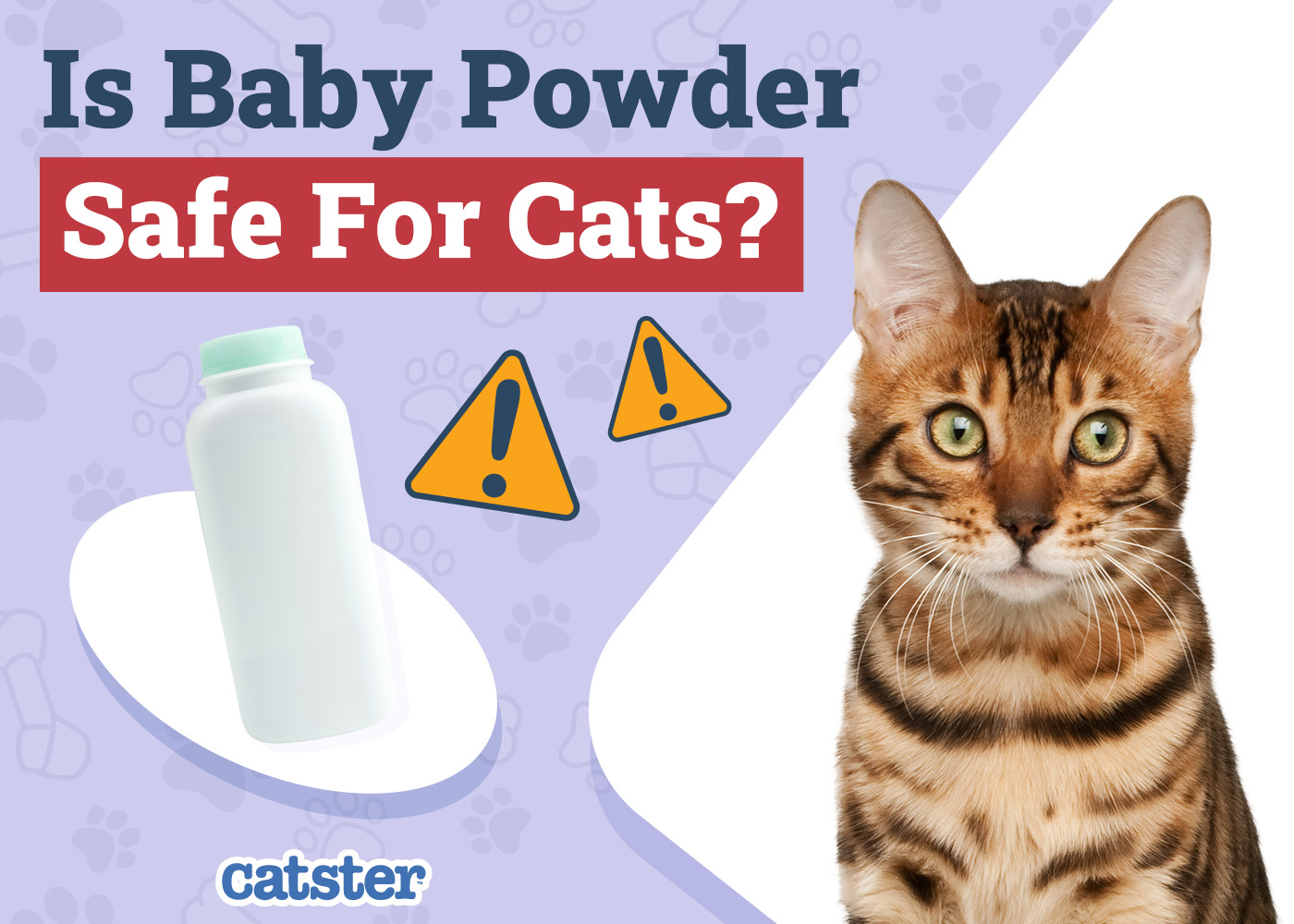 Is Baby Powder Safe for a Cat? What You Need to Know! Vet-Approved Safety Info