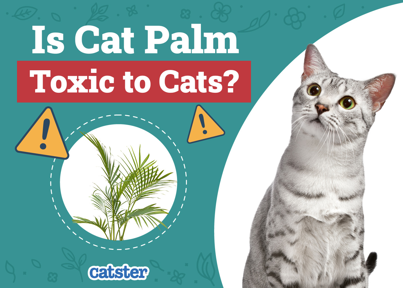 Is Cat Palm Toxic to Cats? Vet-Approved Facts & FAQ