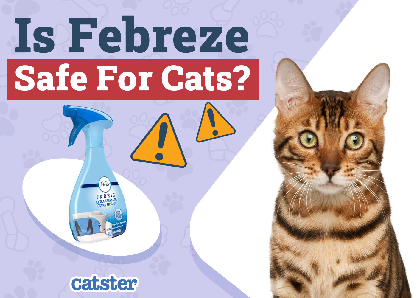 Is Febreze Safe for Cats? Precautions & Alternatives