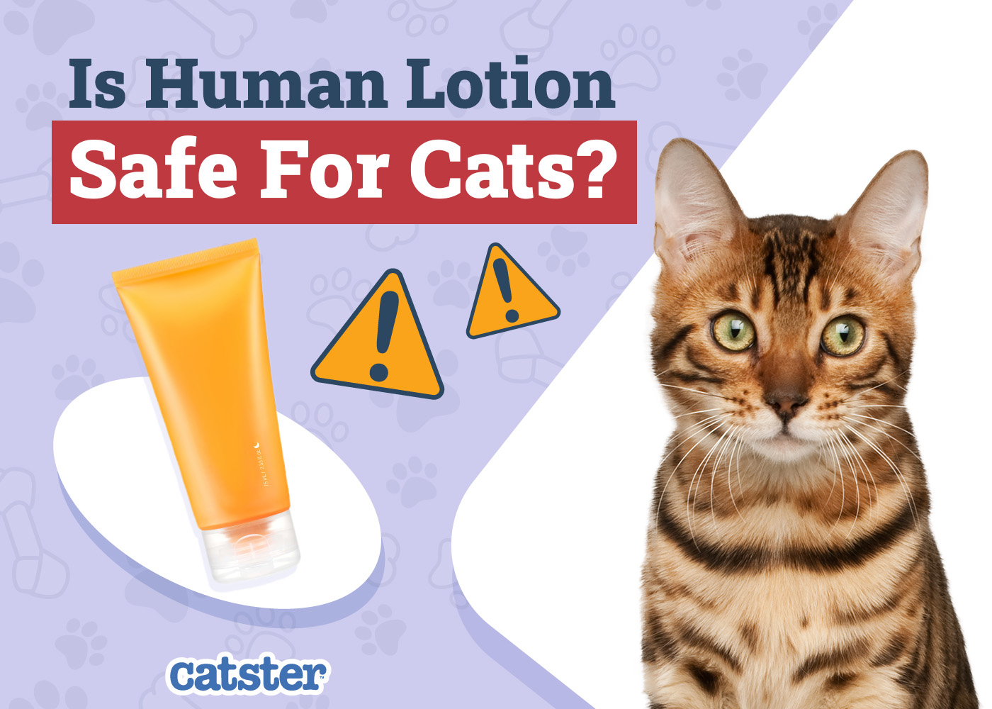Is Human Lotion Safe for Cats? Vet-Reviewed Safety & Toxicity Explained