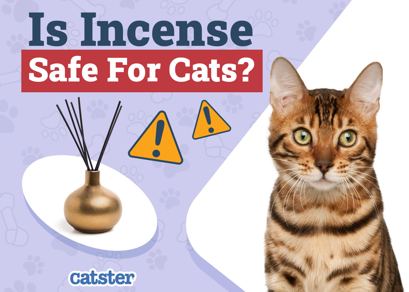 Is Incense Safe for Cats? What You Should Know!