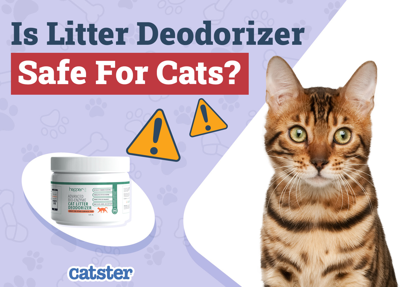 Is Litter Deodorizer Safe for My Cat? Vet-Approved Facts & Sanitation Tips