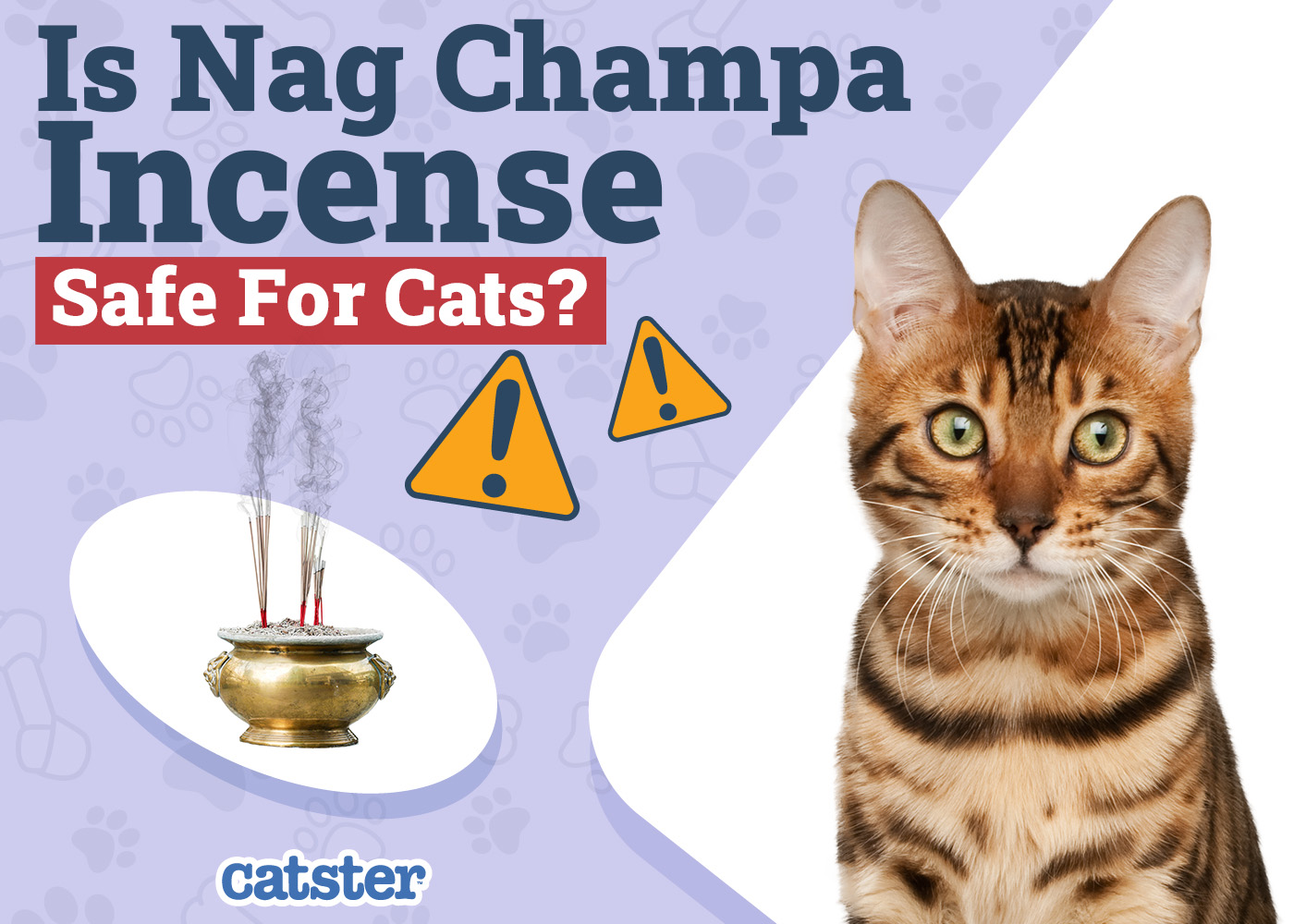 Is Nag Champa Incense Safe for Cats? Vet Approved Facts & Safety Guide