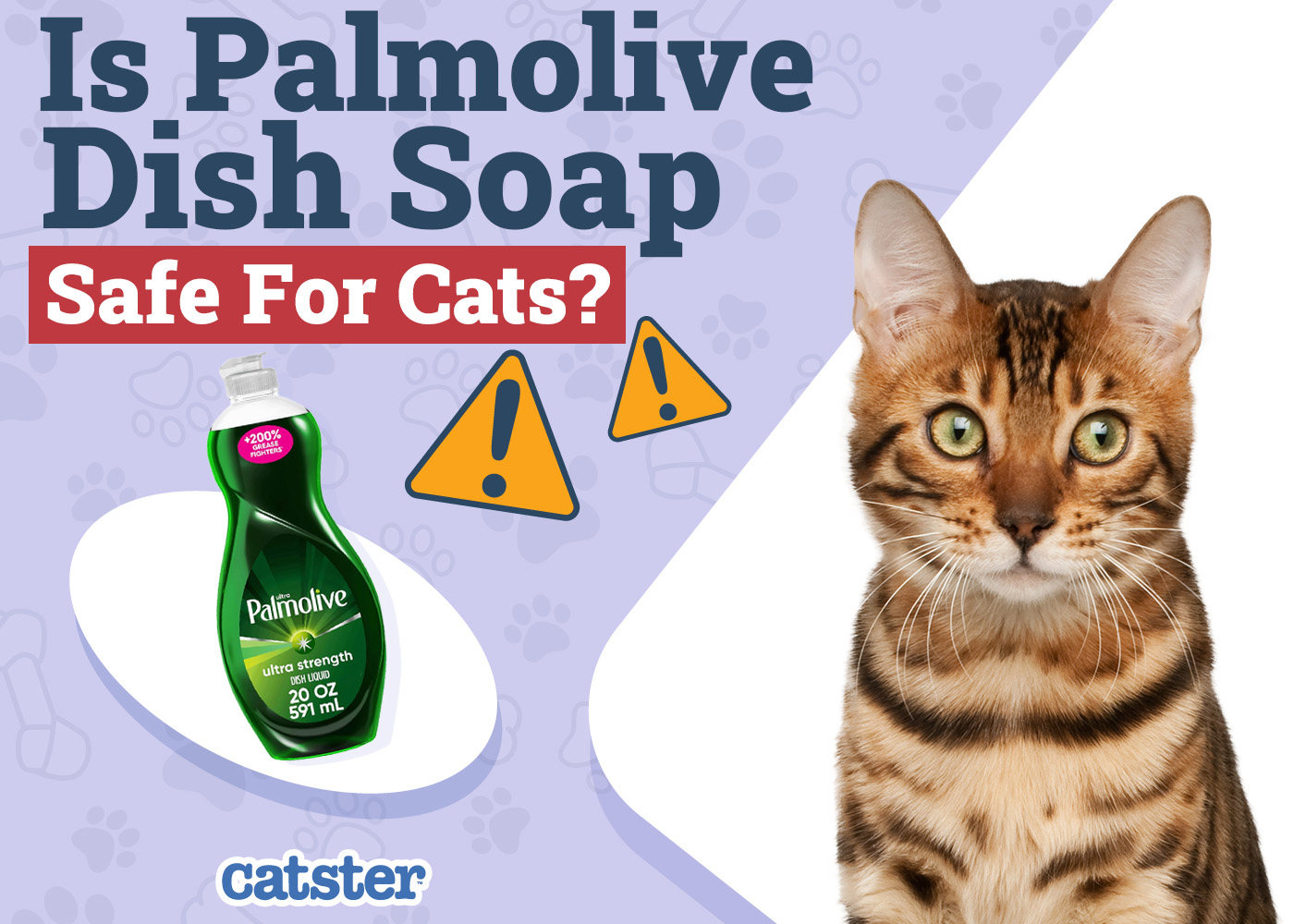 Is Palmolive Dish Soap Safe for Cats? Vet-Approved Risks & Alternatives