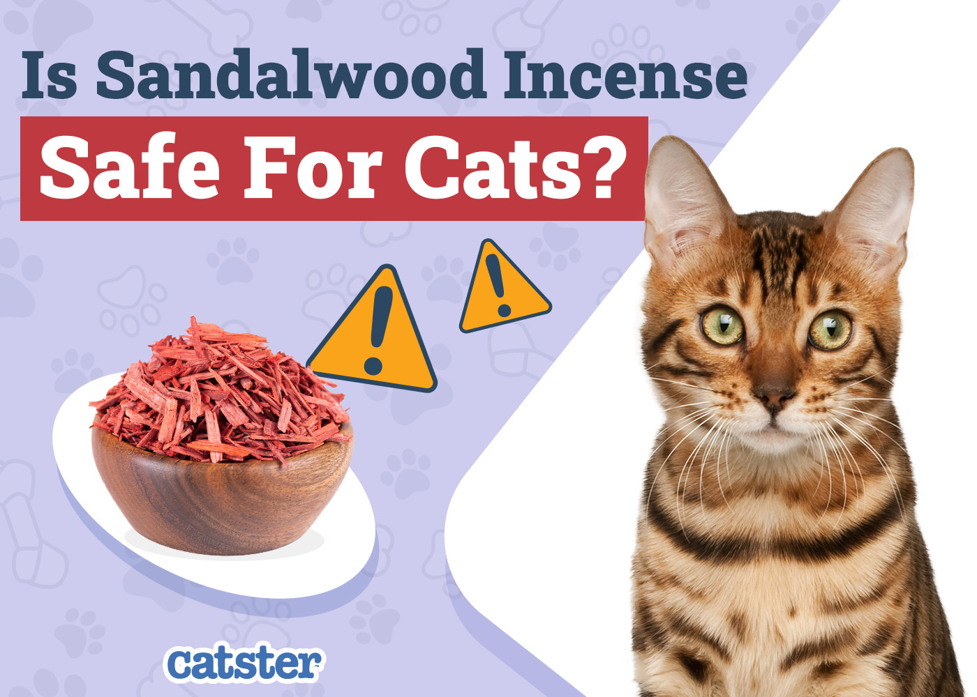 Is Sandalwood Incense Safe for Cats? Vet-Verified Facts and Safety Guide