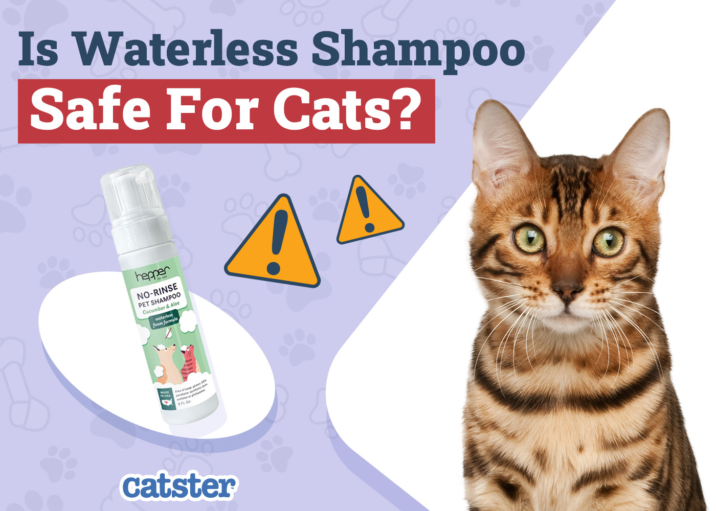 Is Waterless Shampoo Safe for Cats? Vet-Approved Benefits & Tips