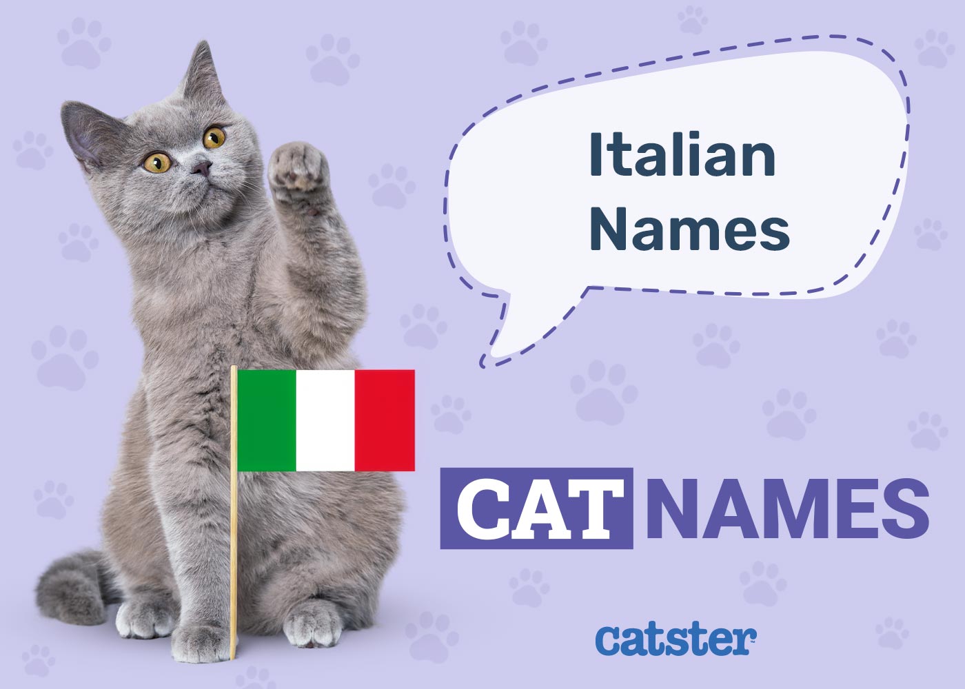 100+ Italian Cat Names: Ideas for Exciting & Gorgeous Cats